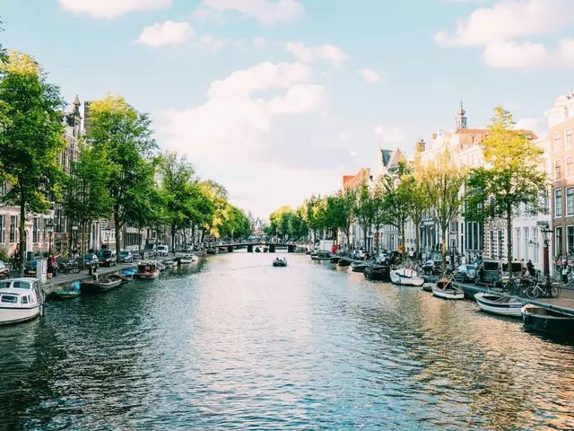 Boote auf einer baumgesäumten Gracht in Amsterdam