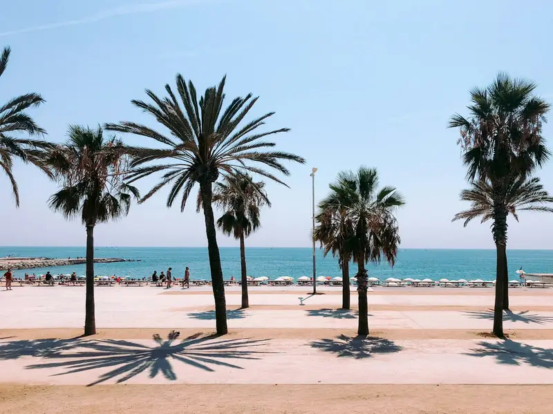 Palm-lined promenade at Barceloneta