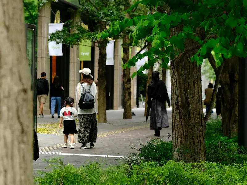 Tree-lined Naka-dori in Marunouchi