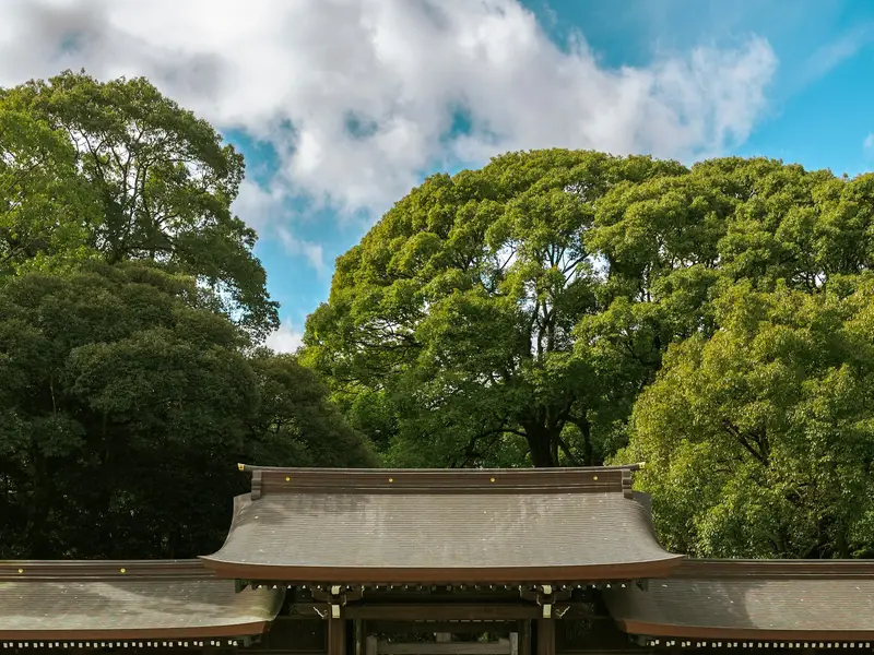 Courtyard of Meiji Jingu shrine