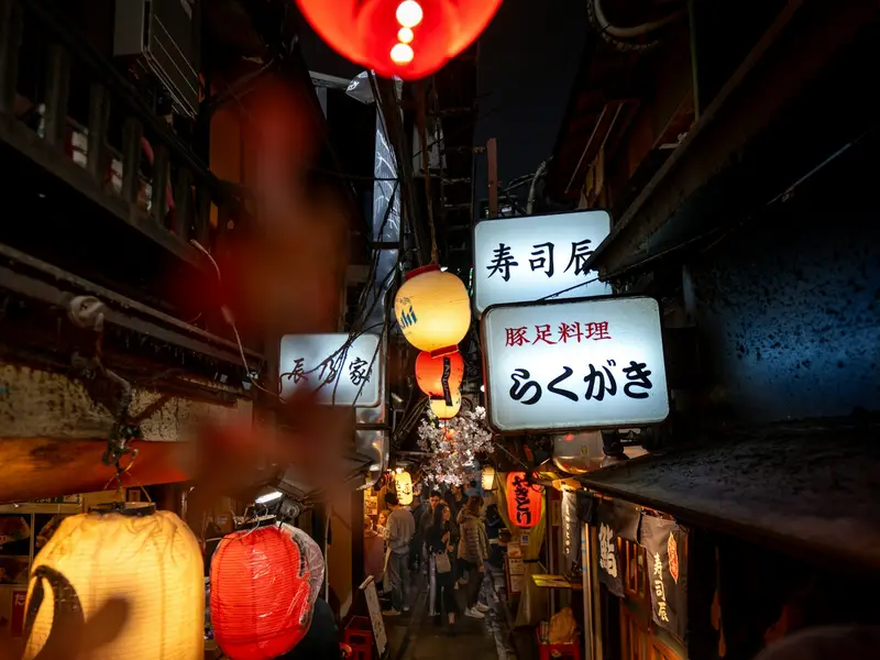 Lantern-lit alley of Omoide Yokocho
